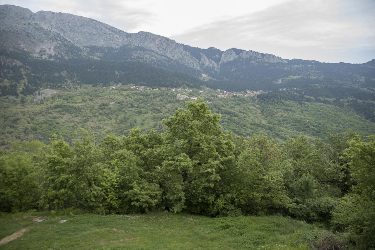 Archontiko Christodoulou Apart otel Vronterón Dış mekan fotoğraf